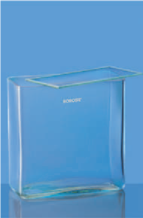 Borosil — Rectangular Museum Jar